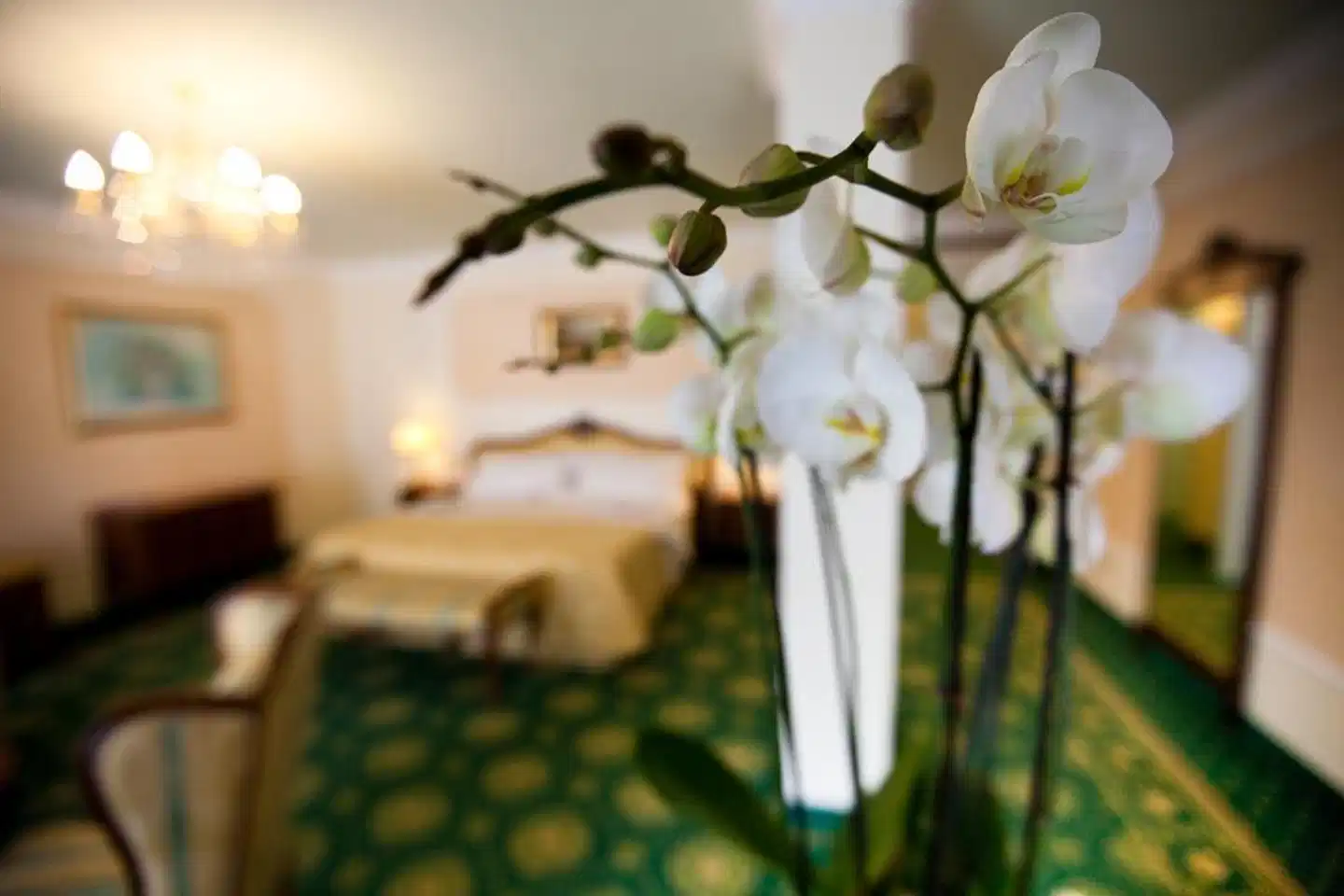 Abano Grand Hotel Tiere