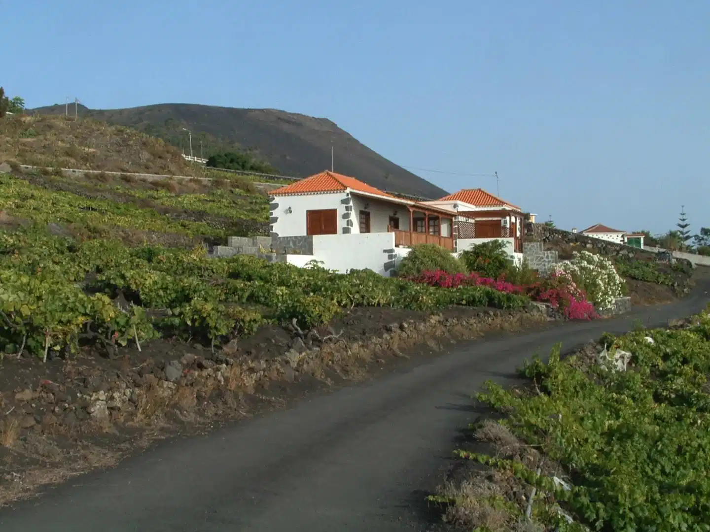 Casitas Las Vinas Aussenansicht