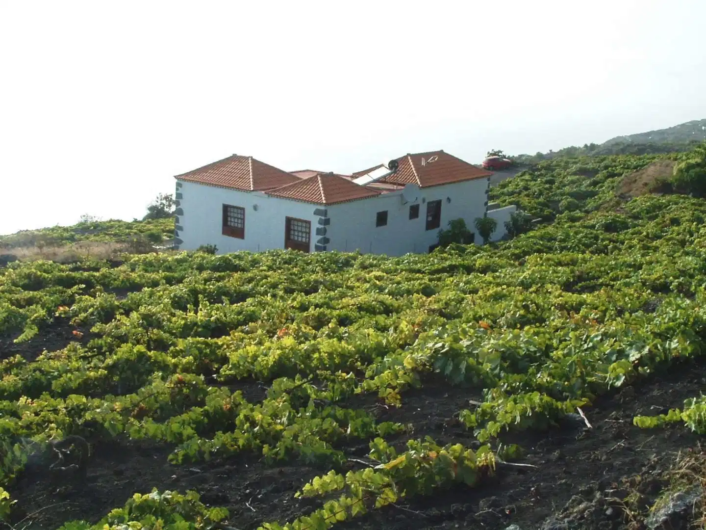 Casitas Las Vinas Aussenansicht