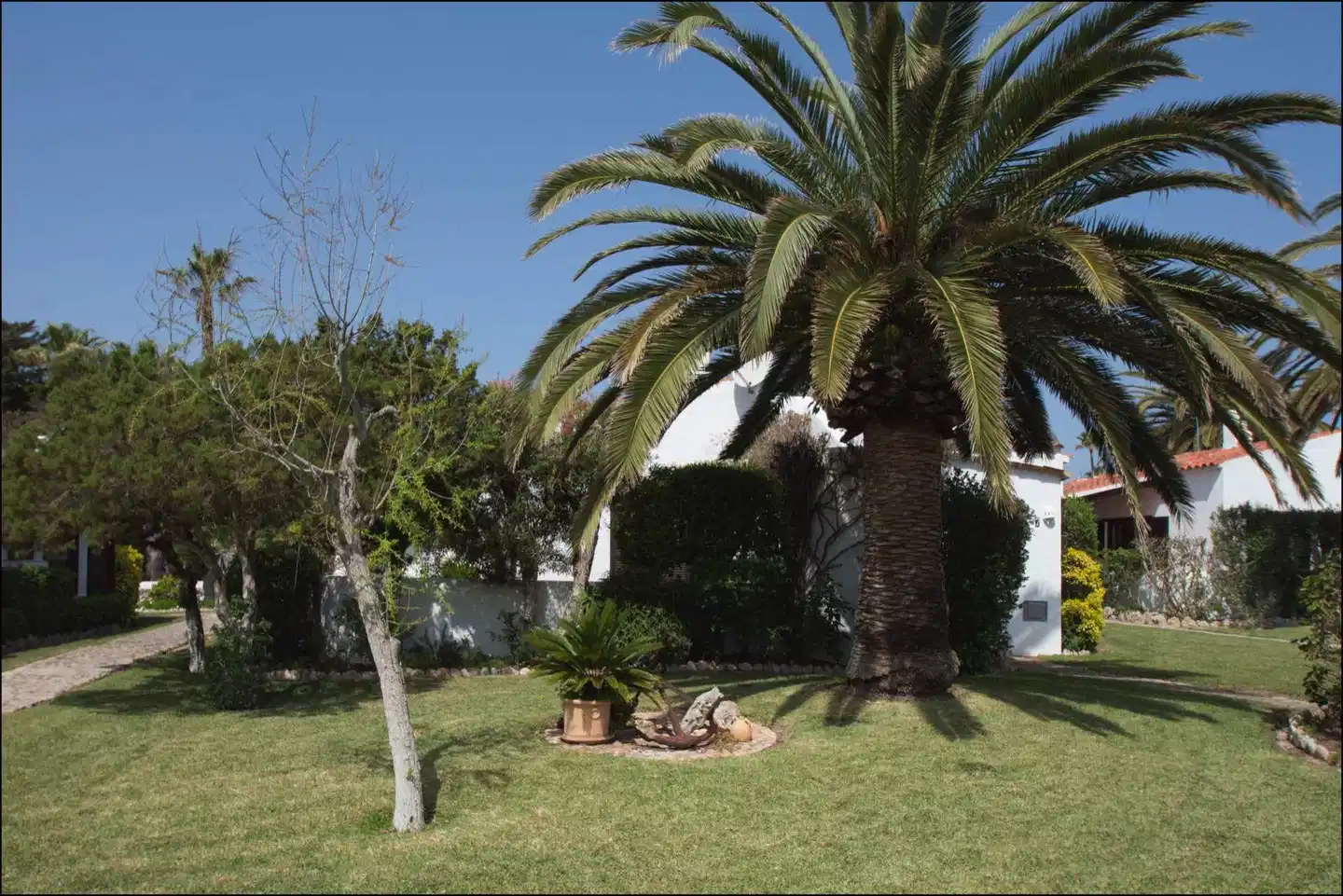 Windrose Bungalows ANIMAL