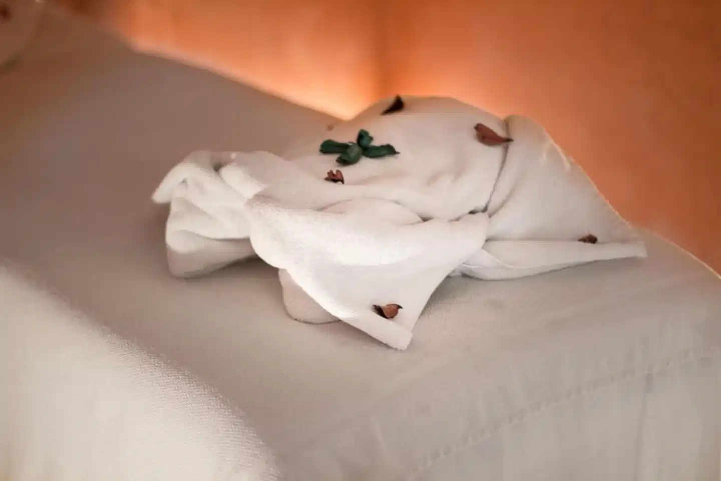 Riad Palais Sebban Wellness