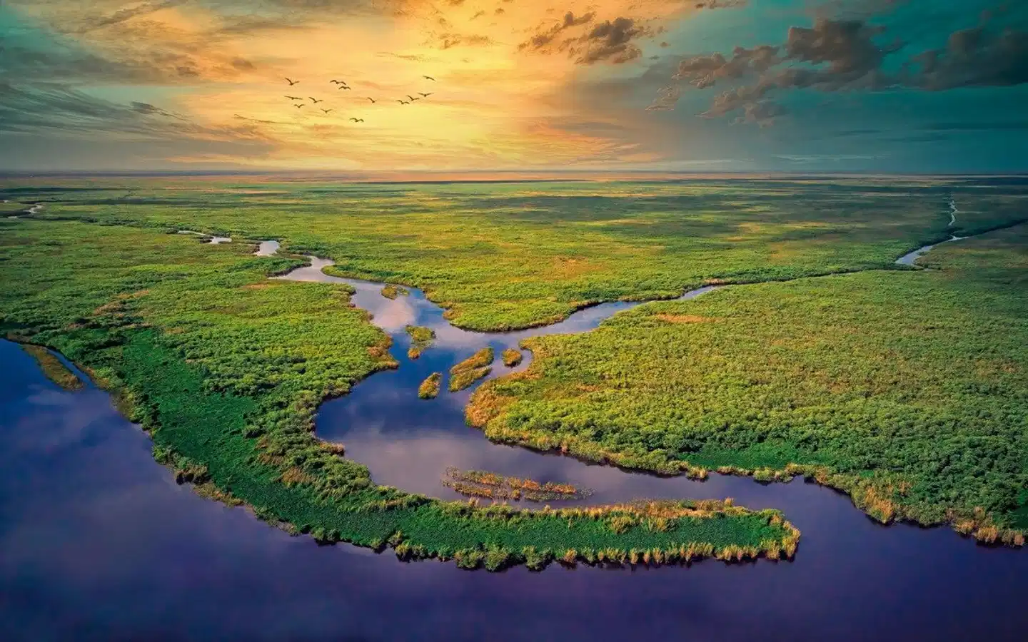 Florida Sunshine State Adventure Landschaft