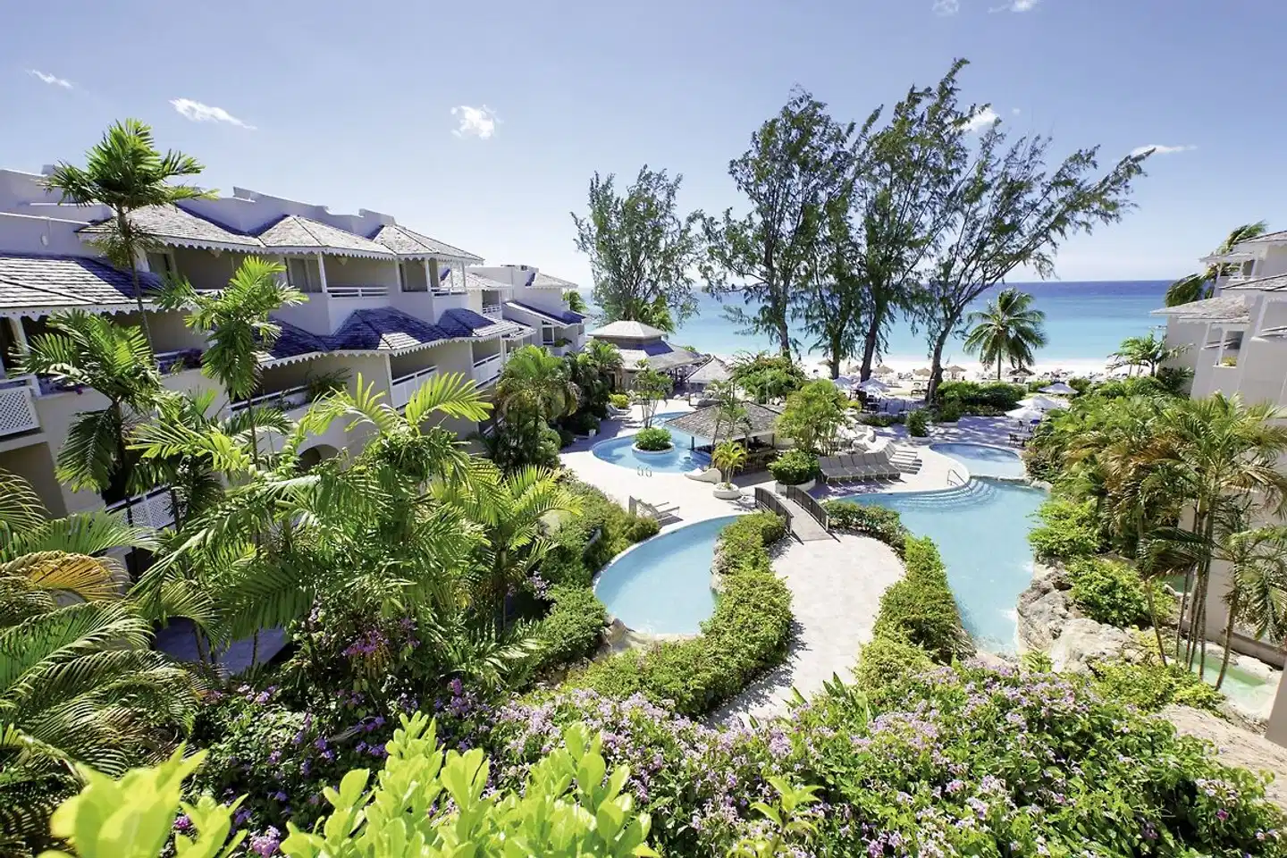 Bougainvillea Barbados Aussenansicht