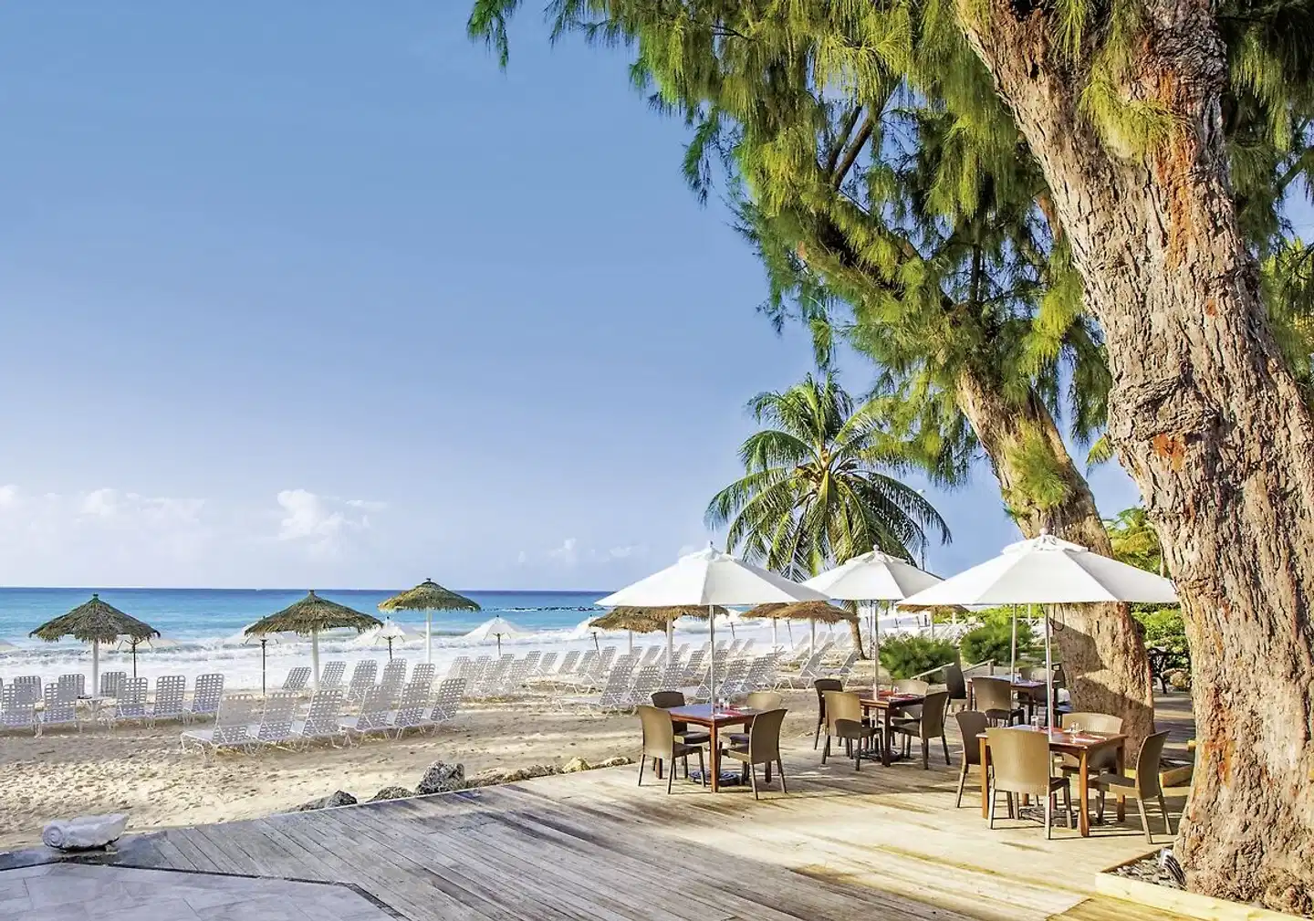 Bougainvillea Barbados Strand