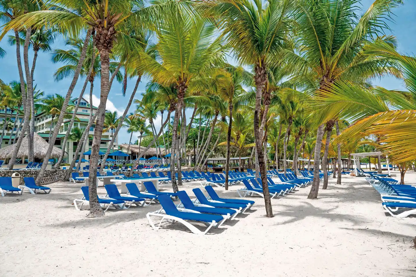 Coral Costa Caribe Beach Resort Strand