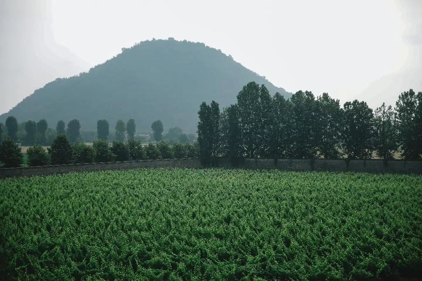 President Terme Landschaft