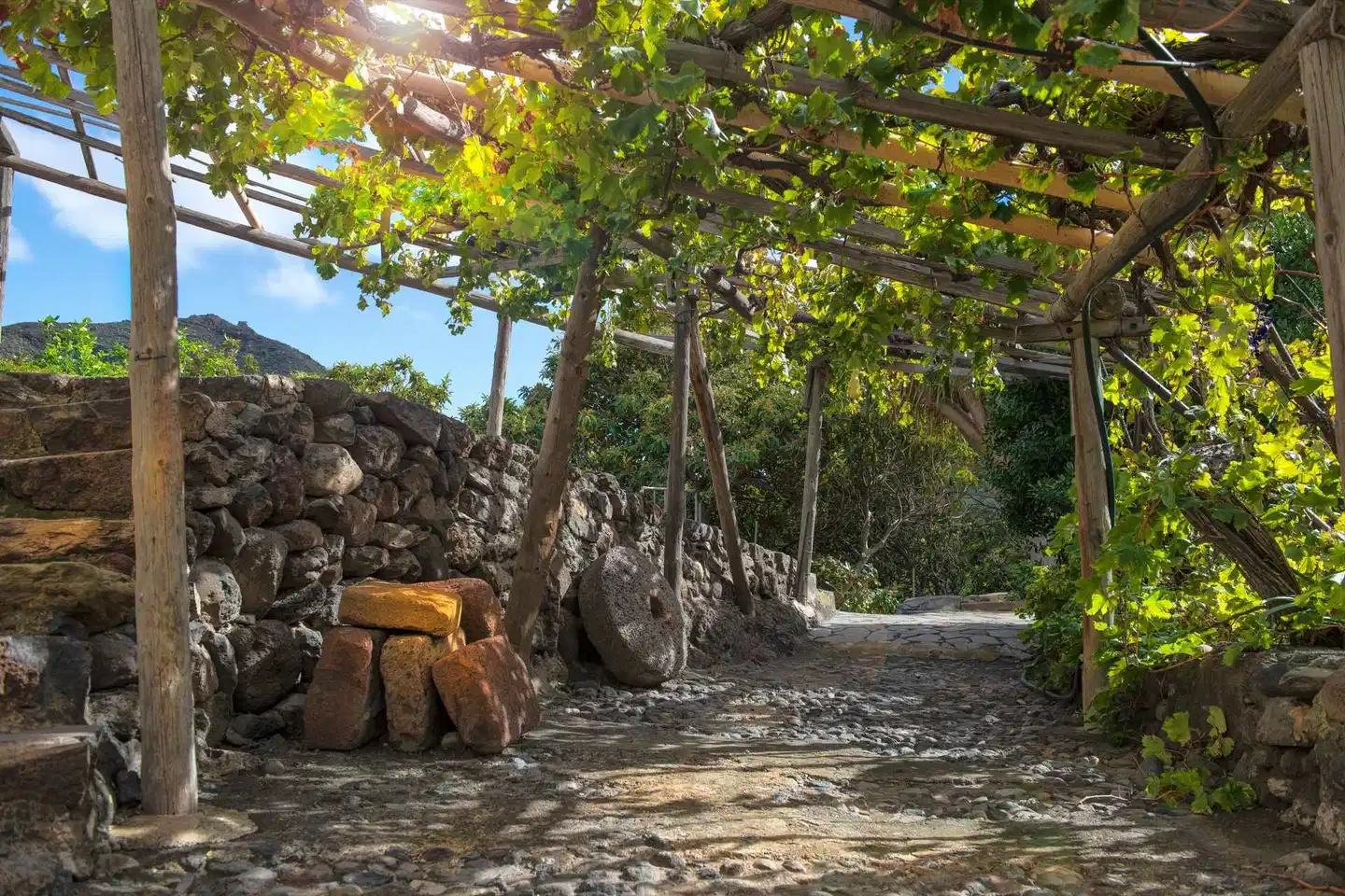 Casas del Lomo Garten
