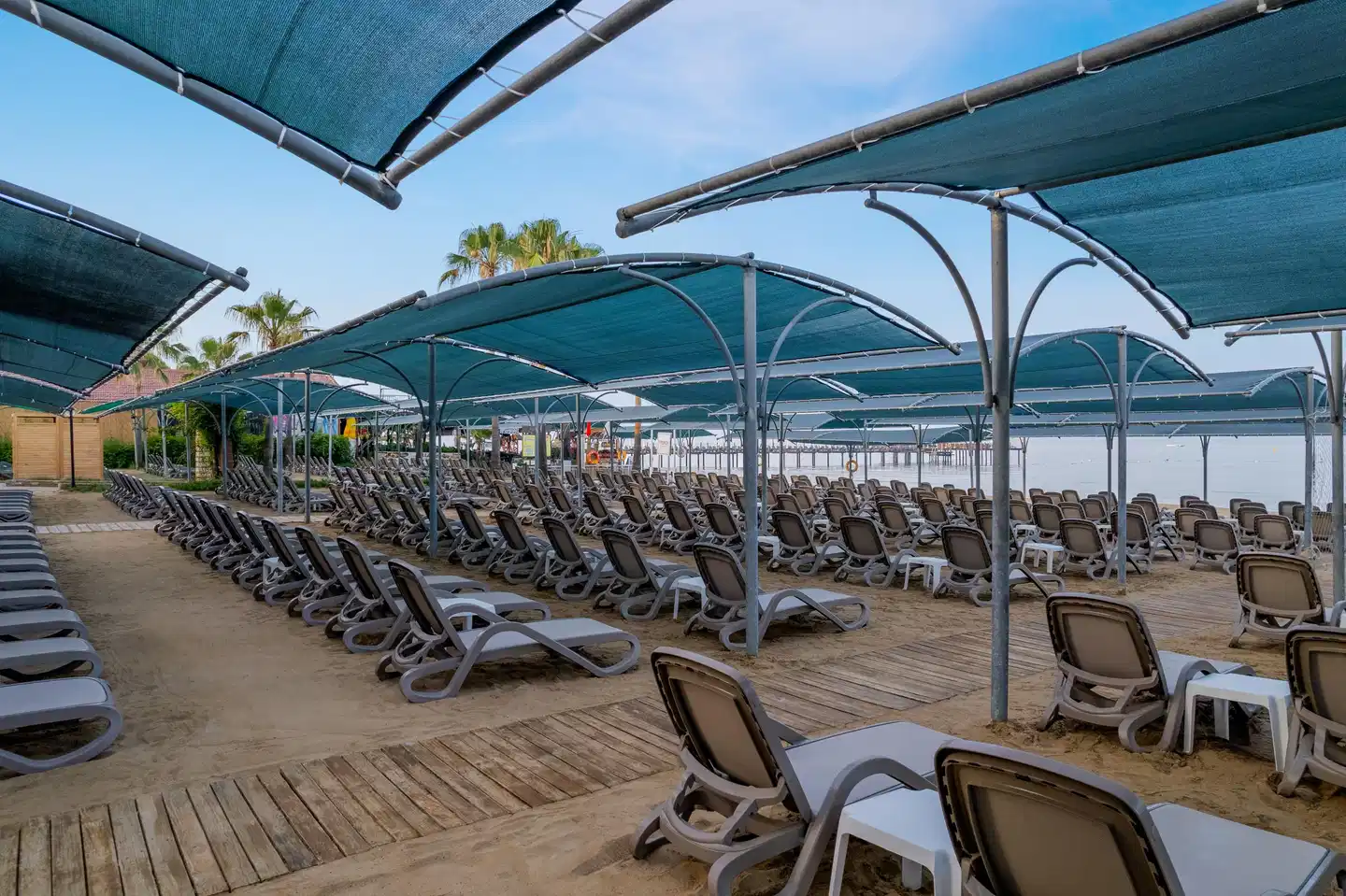 Trendy Palm Beach Adults only Strand