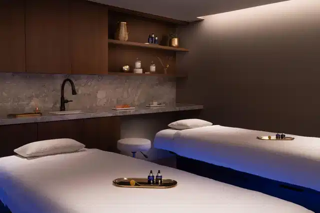 The Vinoy Resort & Golf Club, Autograph Collection Wellness