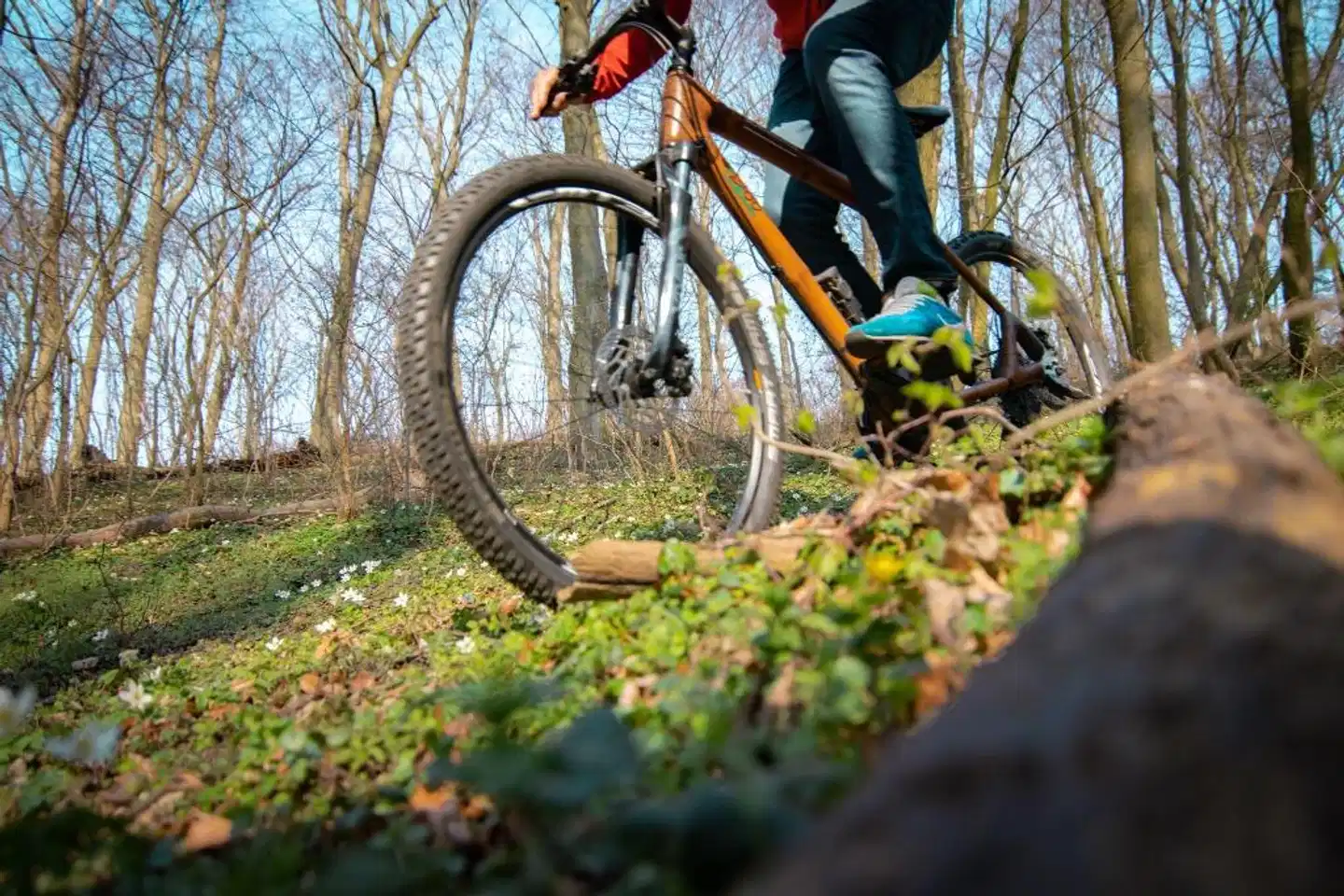 Bornmühle Sport und Entertainment