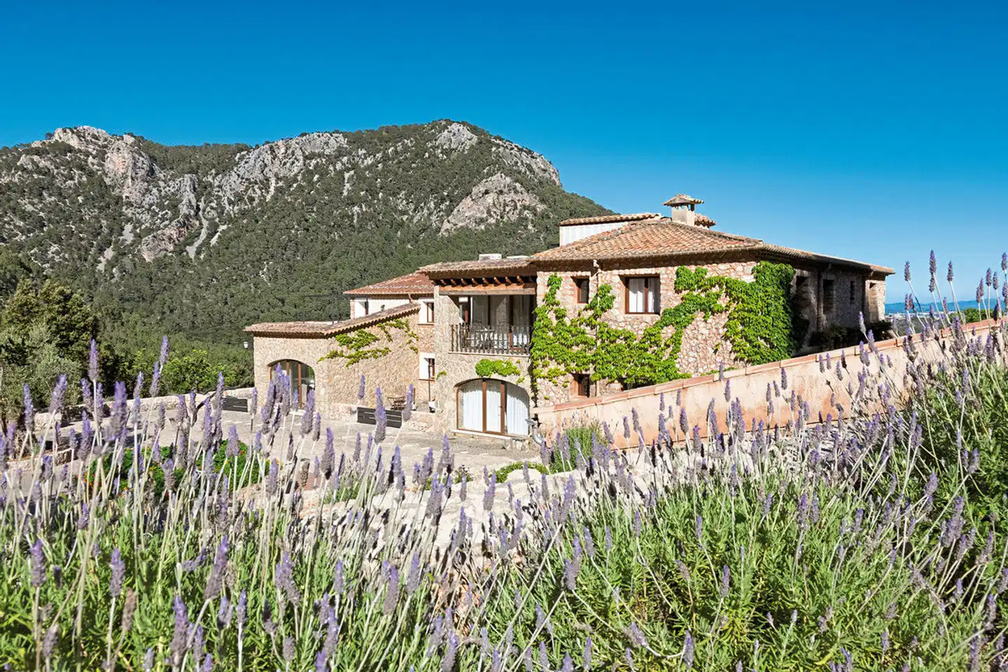 Finca Albellons Parc Natural Tiere