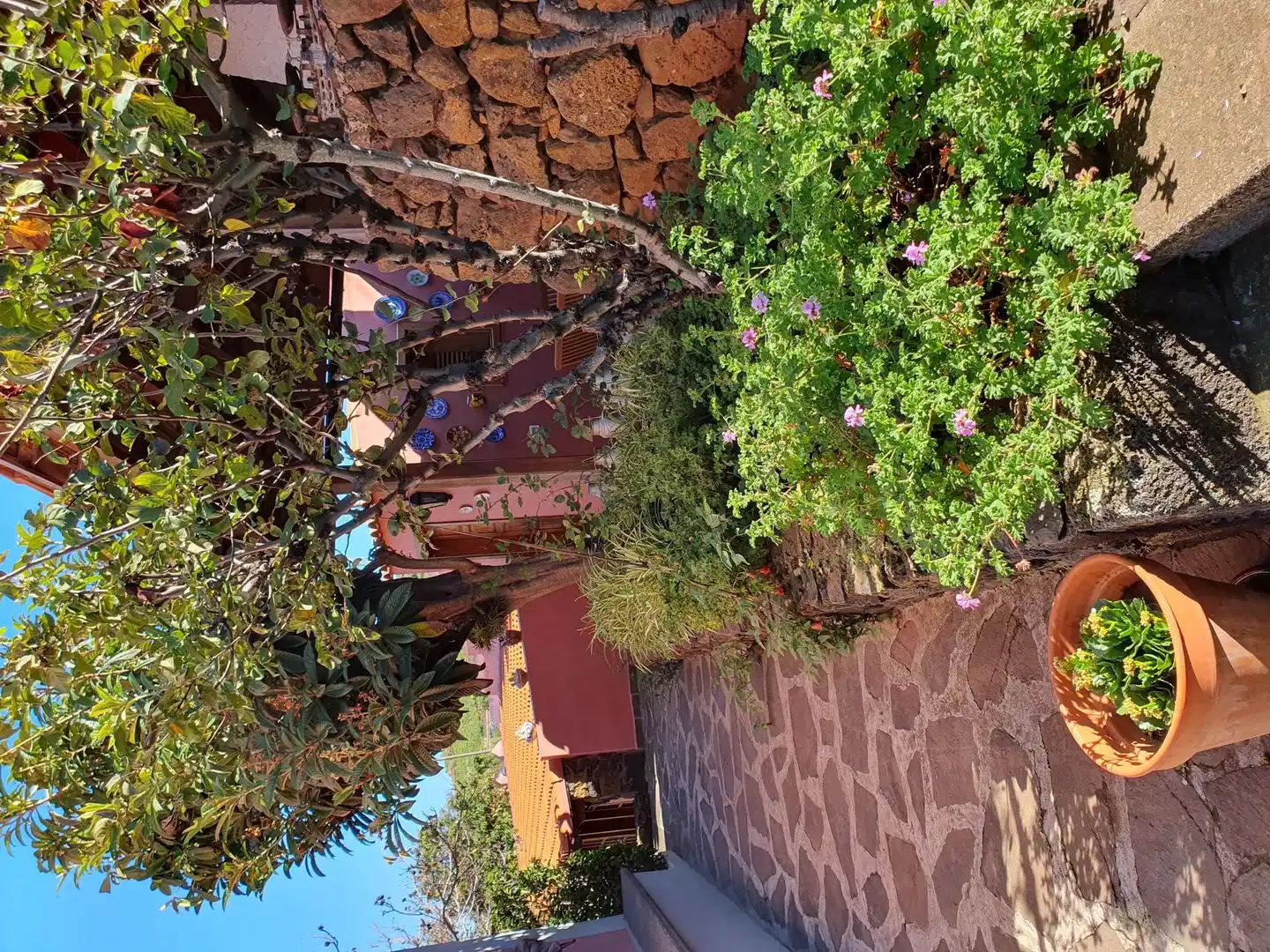 Finca La Blasina GARDEN