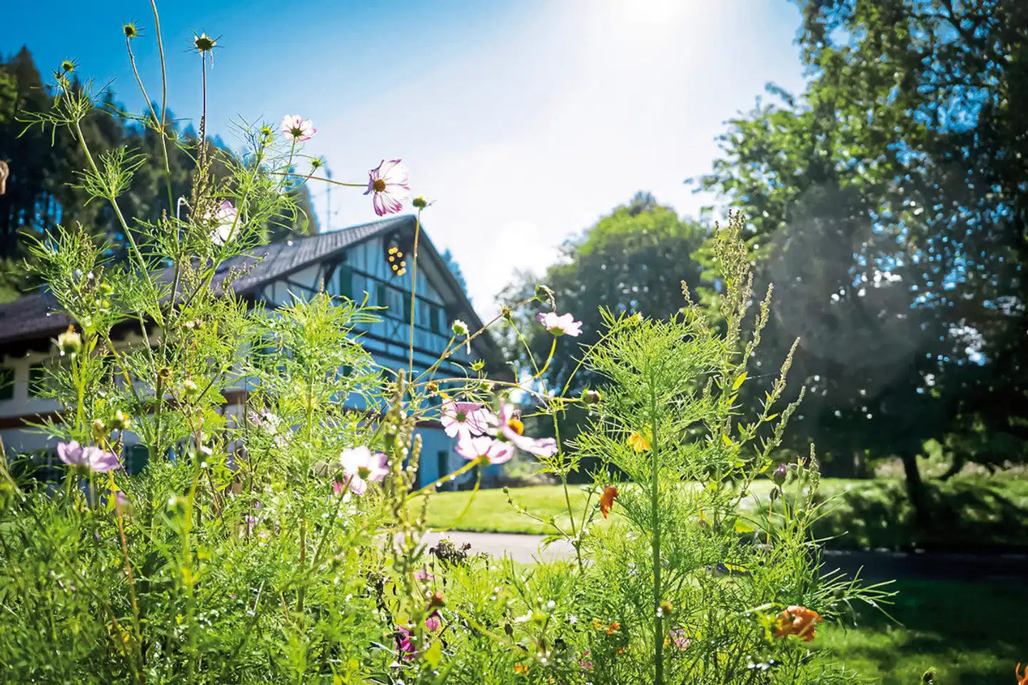 Allgäu Residenz Natur & Spa Landschaft