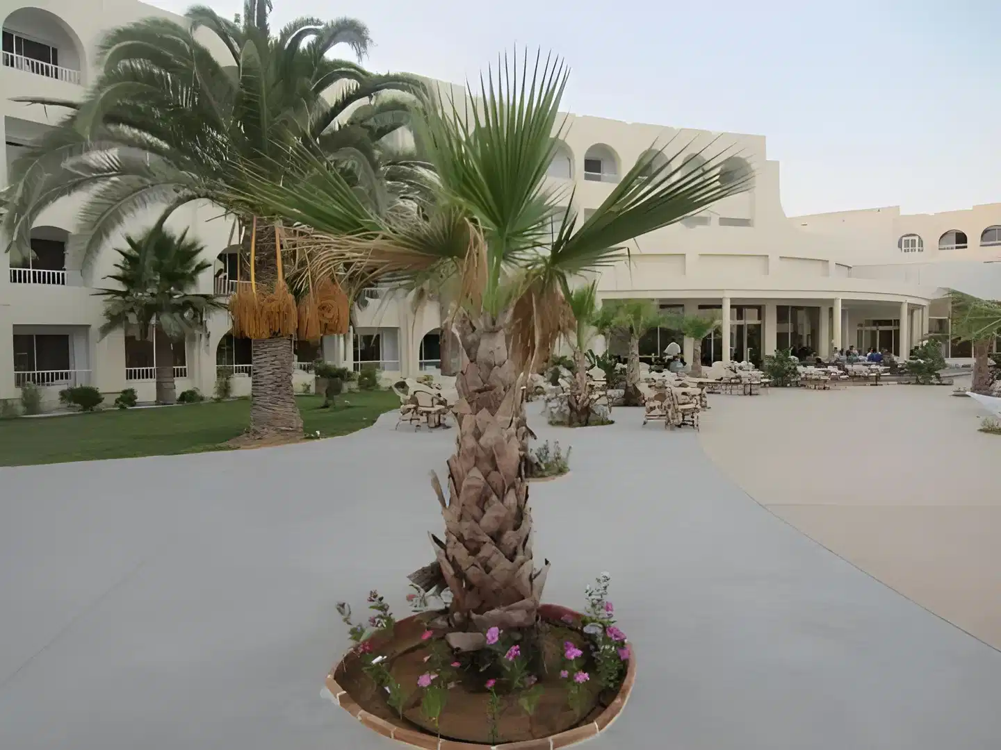 Khayam Garden Beach & Spa Terrasse