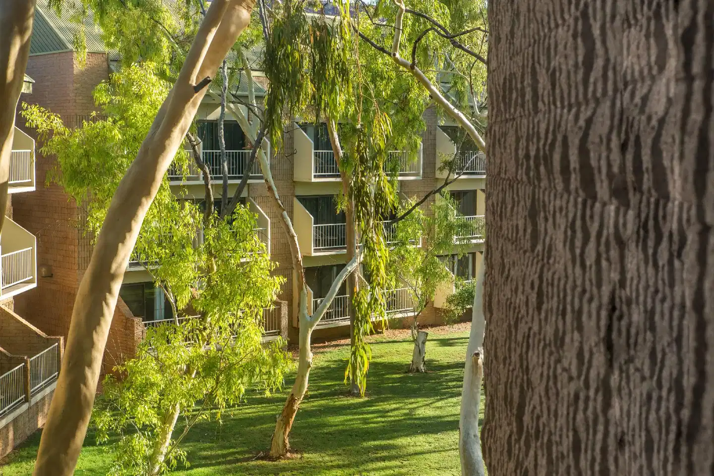 DoubleTree by Hilton Hotel Alice Springs Garten