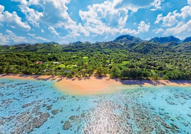 Palm Grove Landschaft