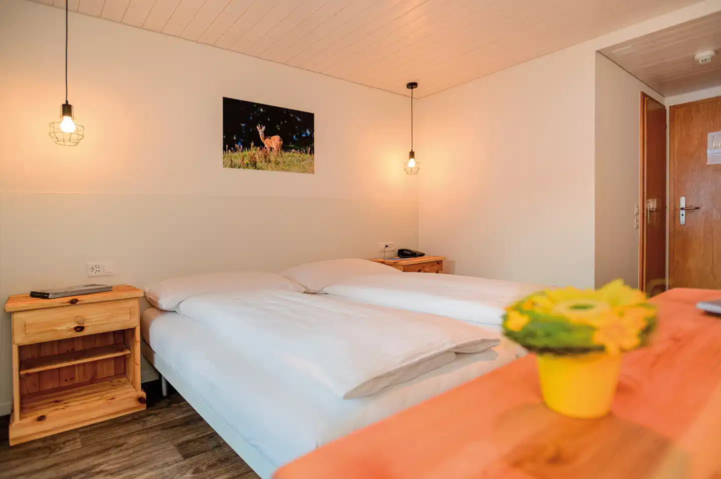 Jungfrau Lodge Wohnbeispiel