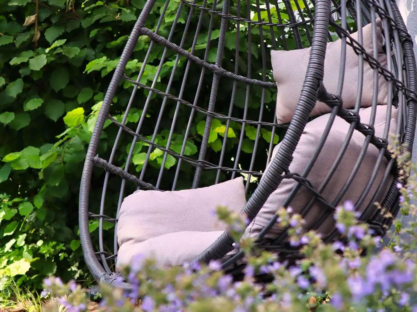 ibis Regensburg City Tiere