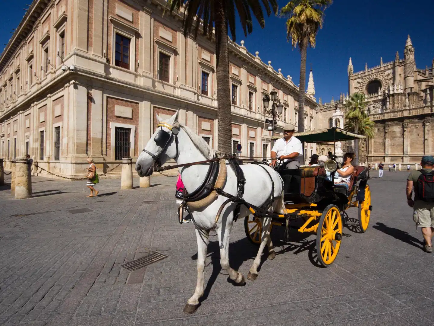 Novotel Sevilla Hotel Sport und Entertainment