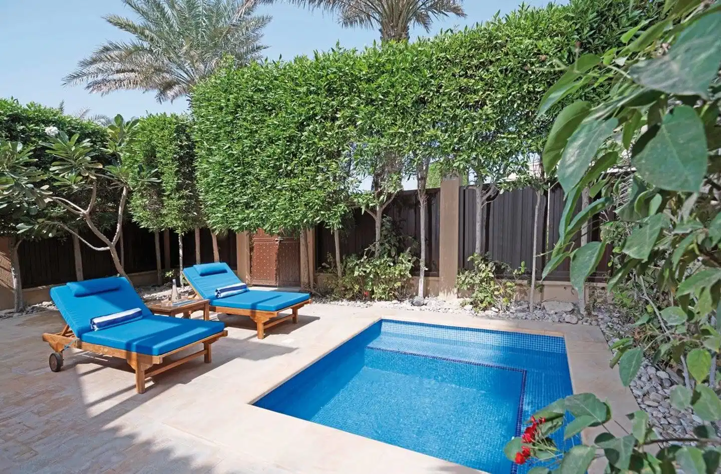 Anantara Desert Islands Resort & Spa Pool