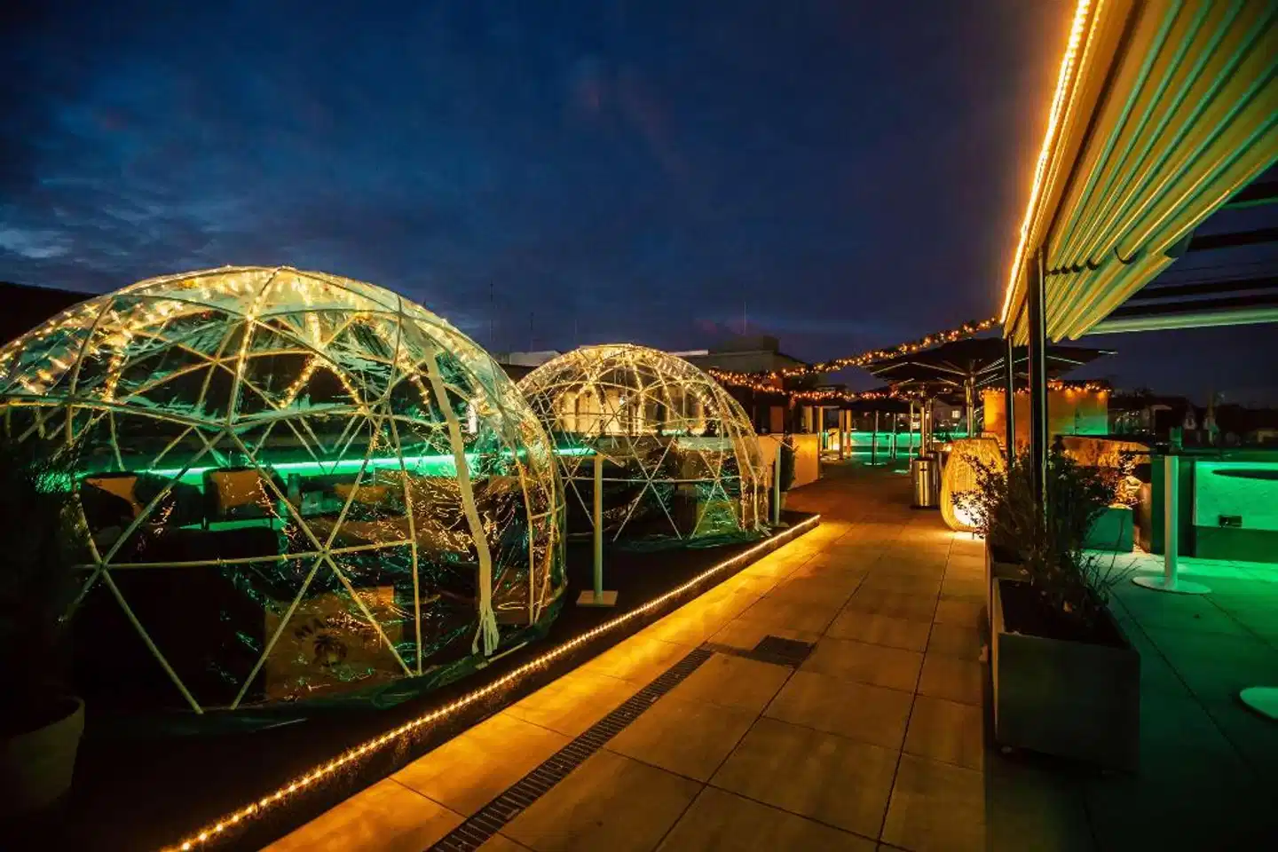 INNSIDE Leipzig Tiere