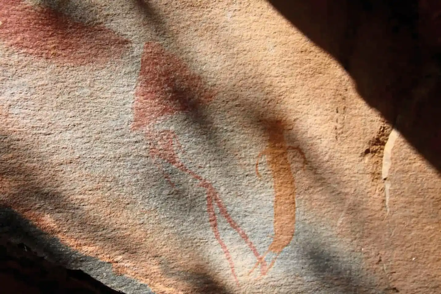 Ugab Terrace Lodge Tiere