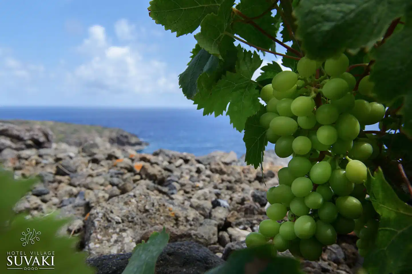 Hotel Village Suvaki Landschaft