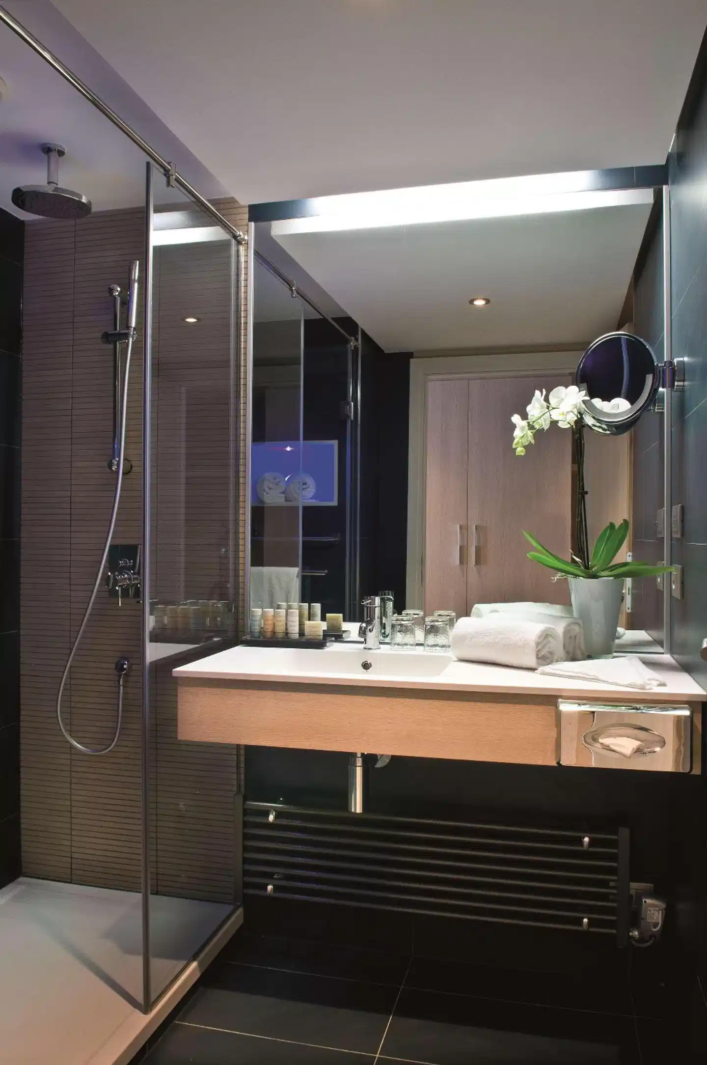 Radisson Blu Resort & Spa, Ajaccio Bay Badezimmer