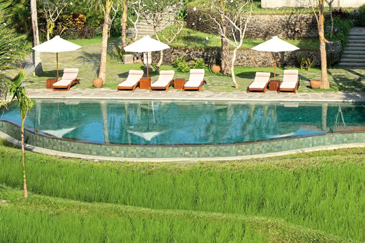 Alaya Ubud Pool