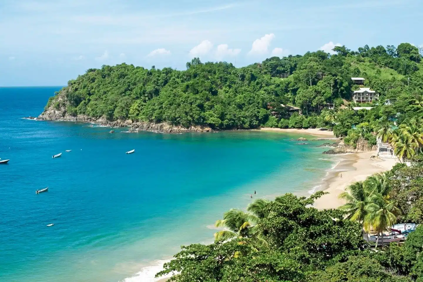 Castara Retreats Landschaft