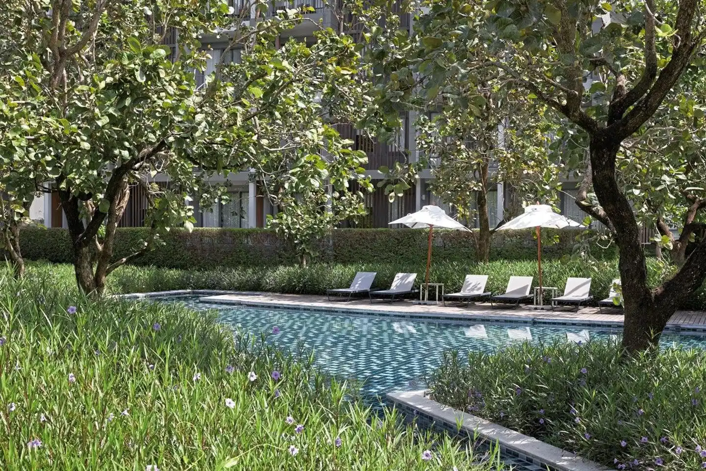 The Peri Hotel Khao Yai Pool