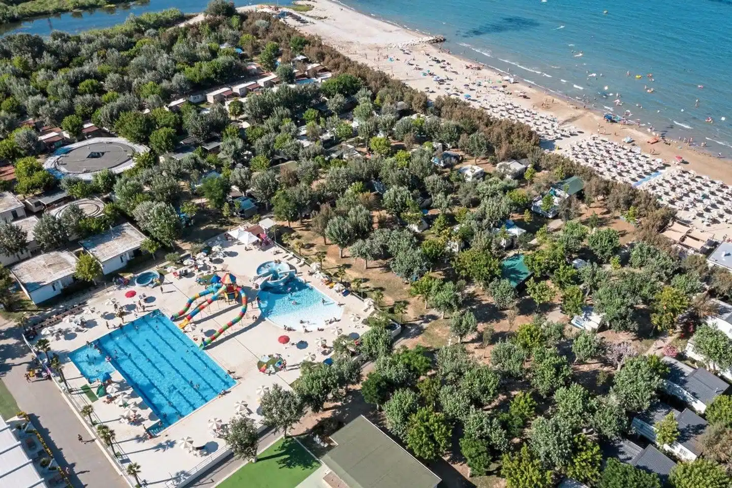 Stork Family Collection Strand