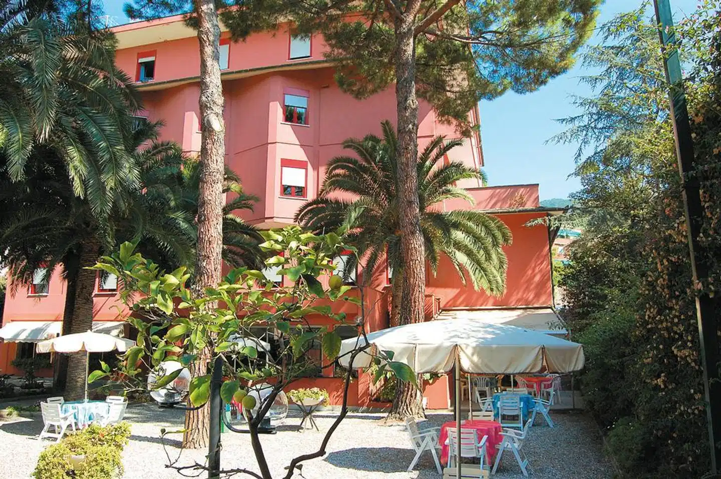 Hotel Palme Tiere