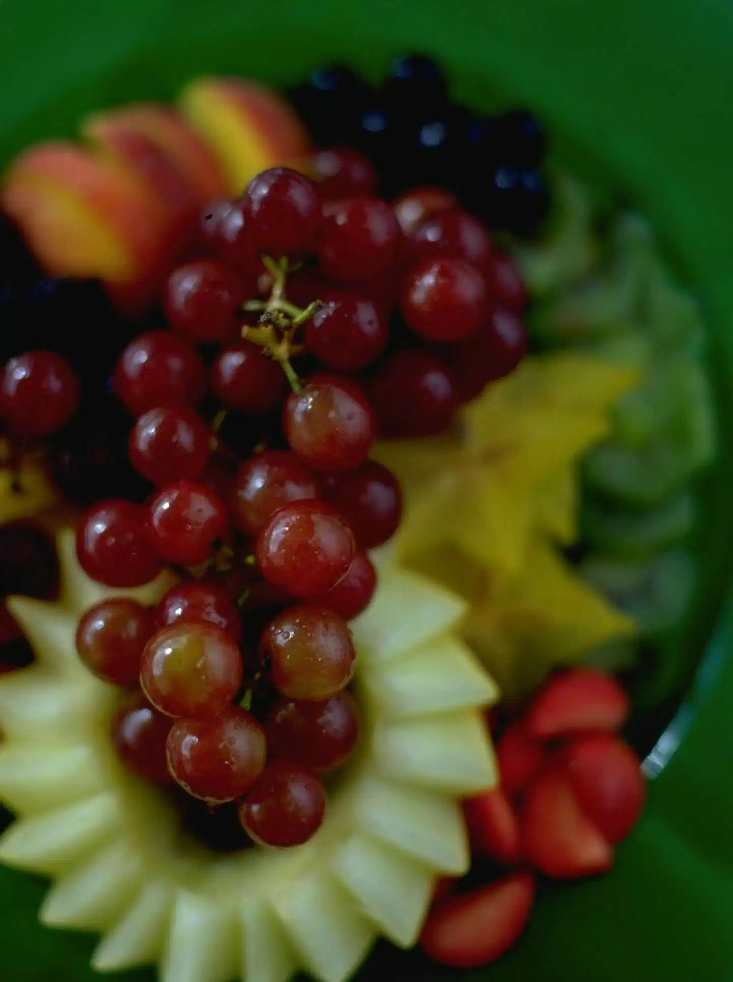 Hilton Saint John Tiere