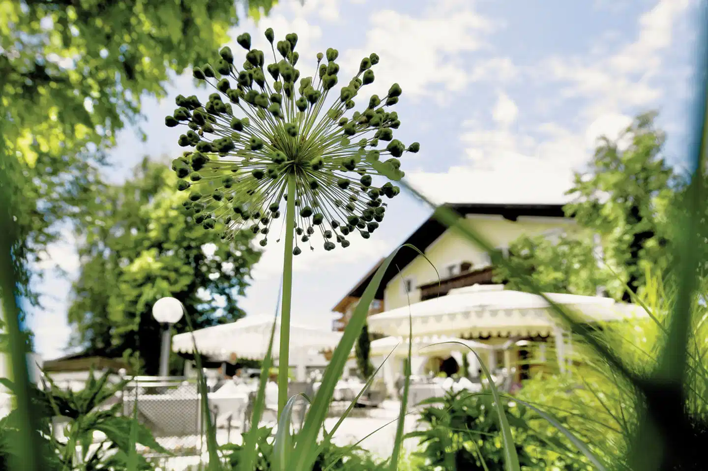 Gartenhotel Völser Hof - adults only Garten