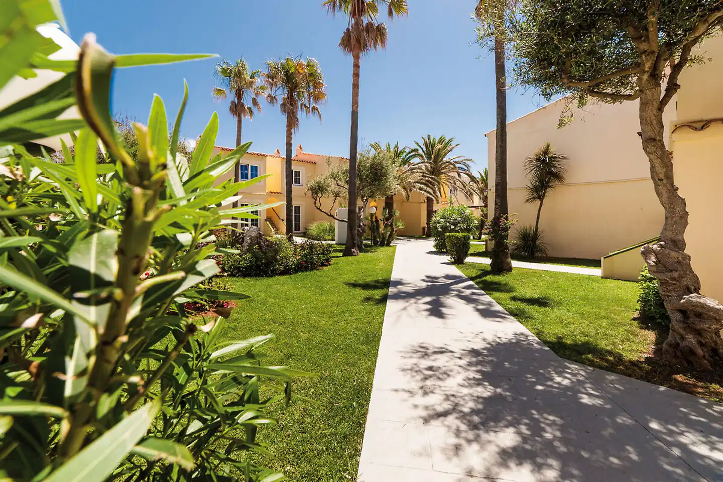 Globales Binimar Garten