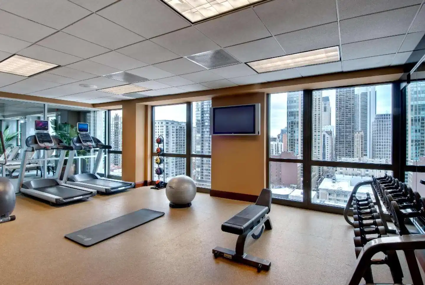 Homewood Suites by Hilton Chicago-Downtown Sport und Entertainment