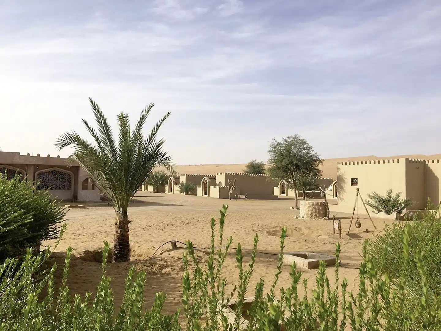 Arabian Oryx Camp Tiere