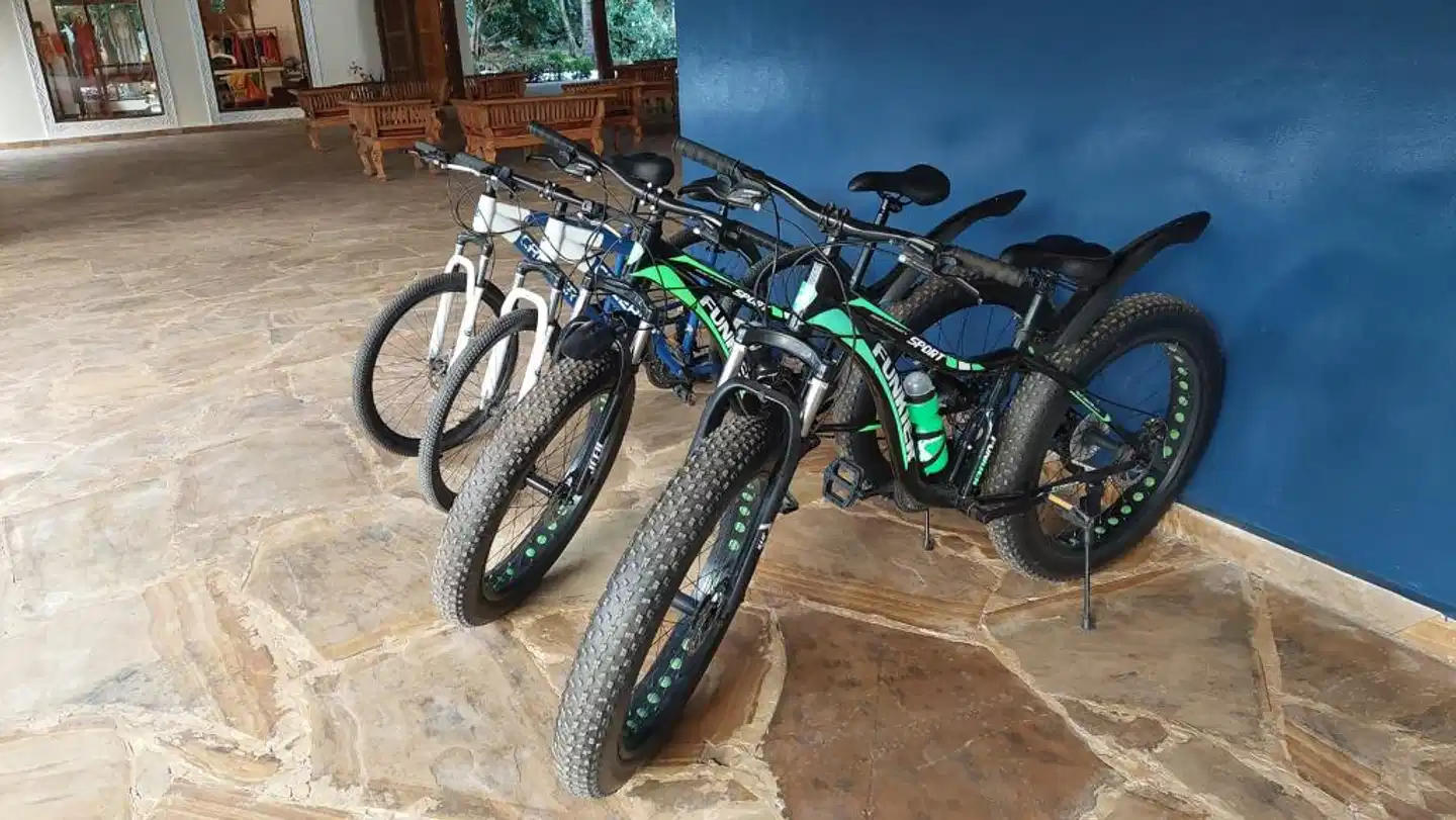 Maharaja Boutique Hotel Tiere