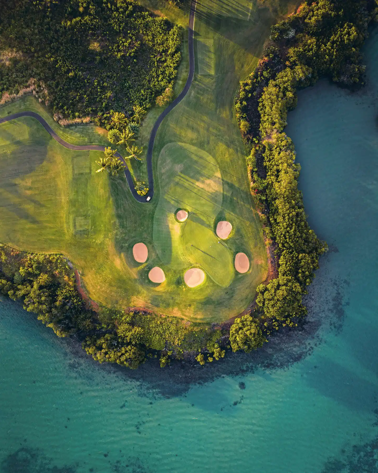 Shangri-La Le Touessrok, Mauritius Tiere