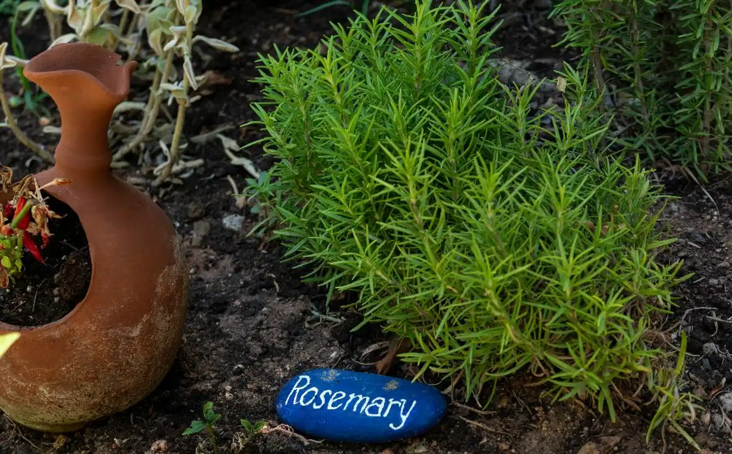 Villea Village Landschaft