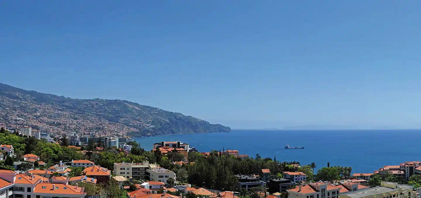 Dorisol Mimosa Landschaft