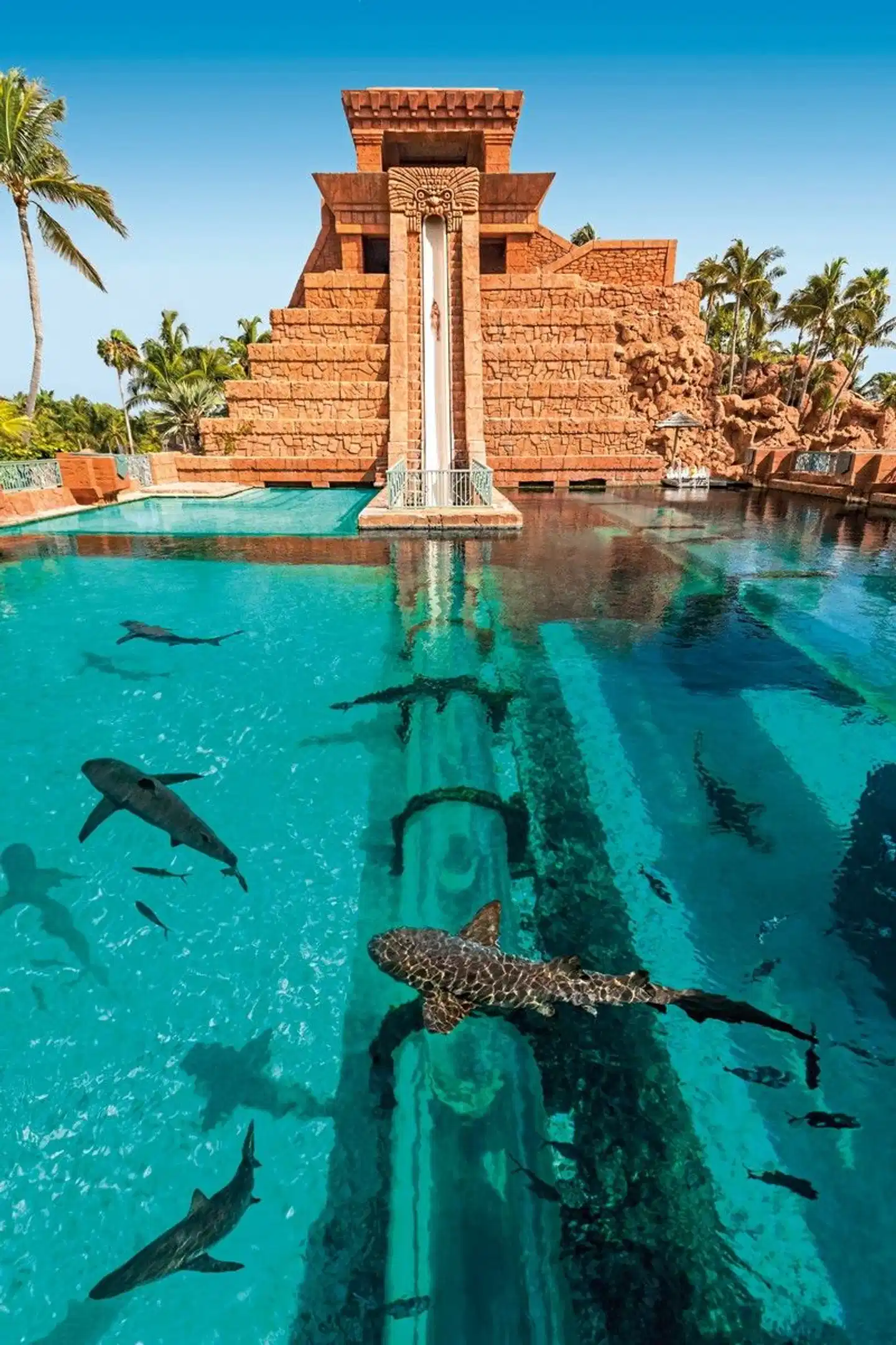 The Royal at Atlantis Pool