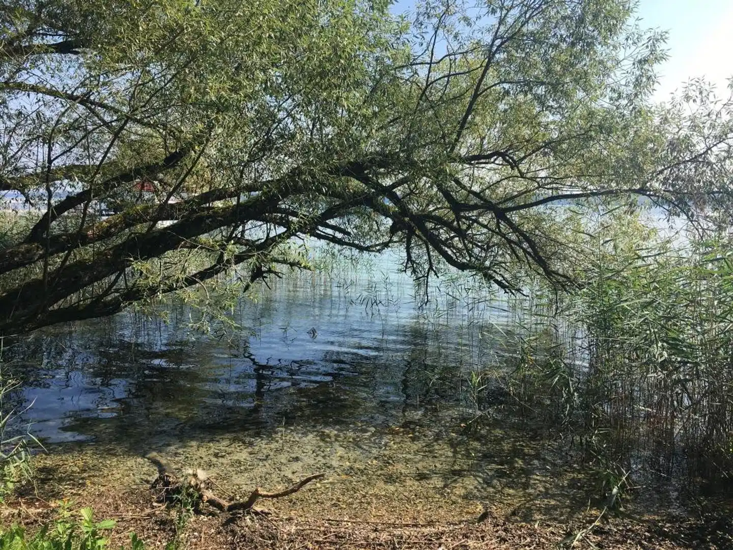 Vier Jahreszeiten Landschaft