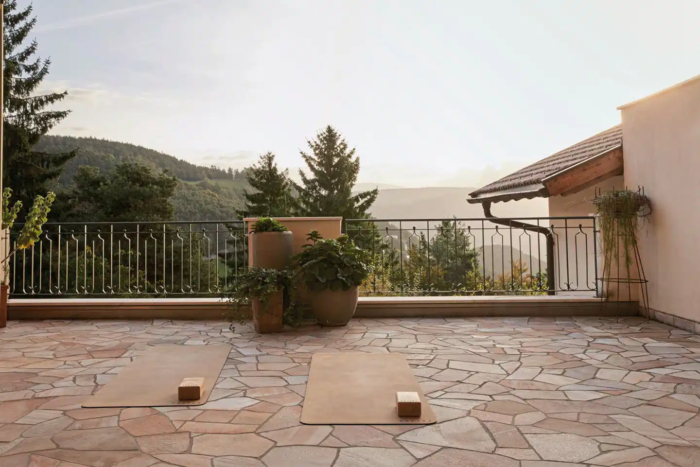 Hotel Saltus Terrasse