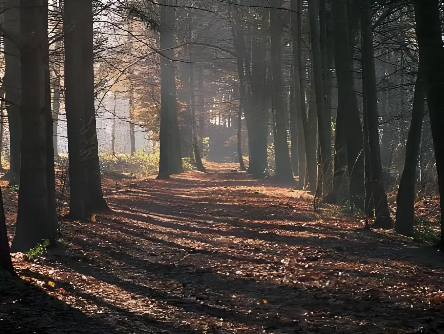 De Bilderberg Trattoria Artusi Tiere