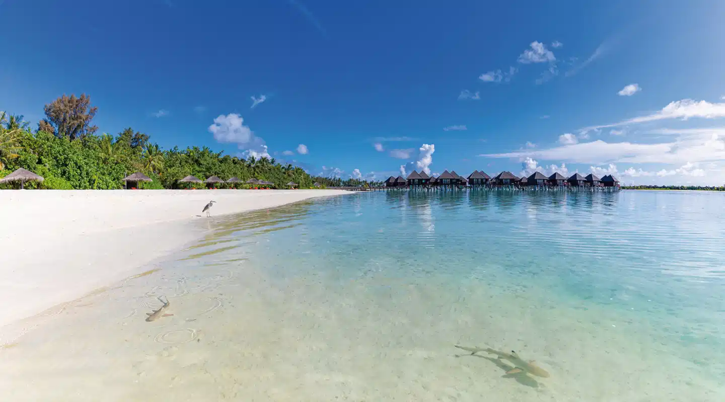 Sun Siyam Olhuveli Maldives Strand