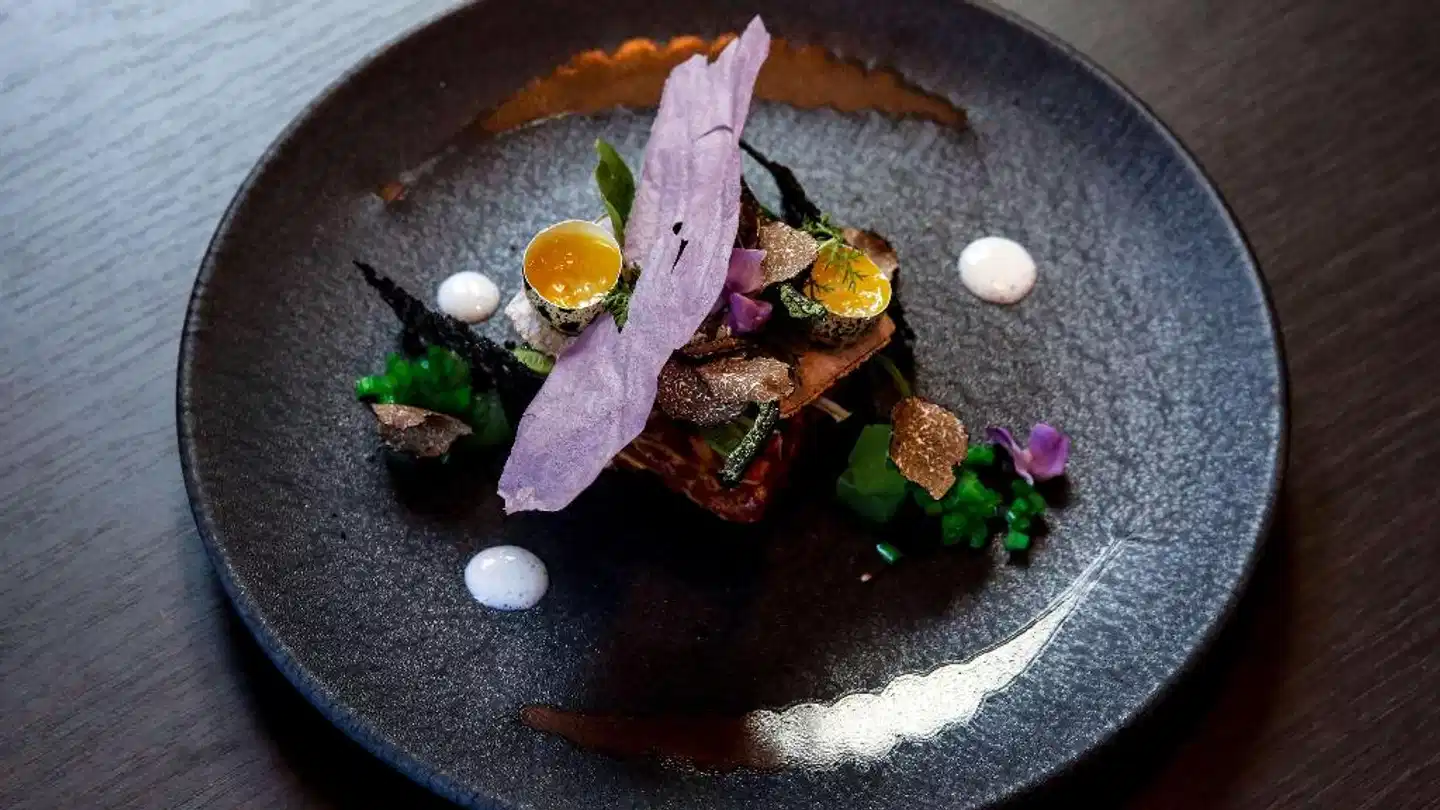 Park Plaza Nuremberg Tiere