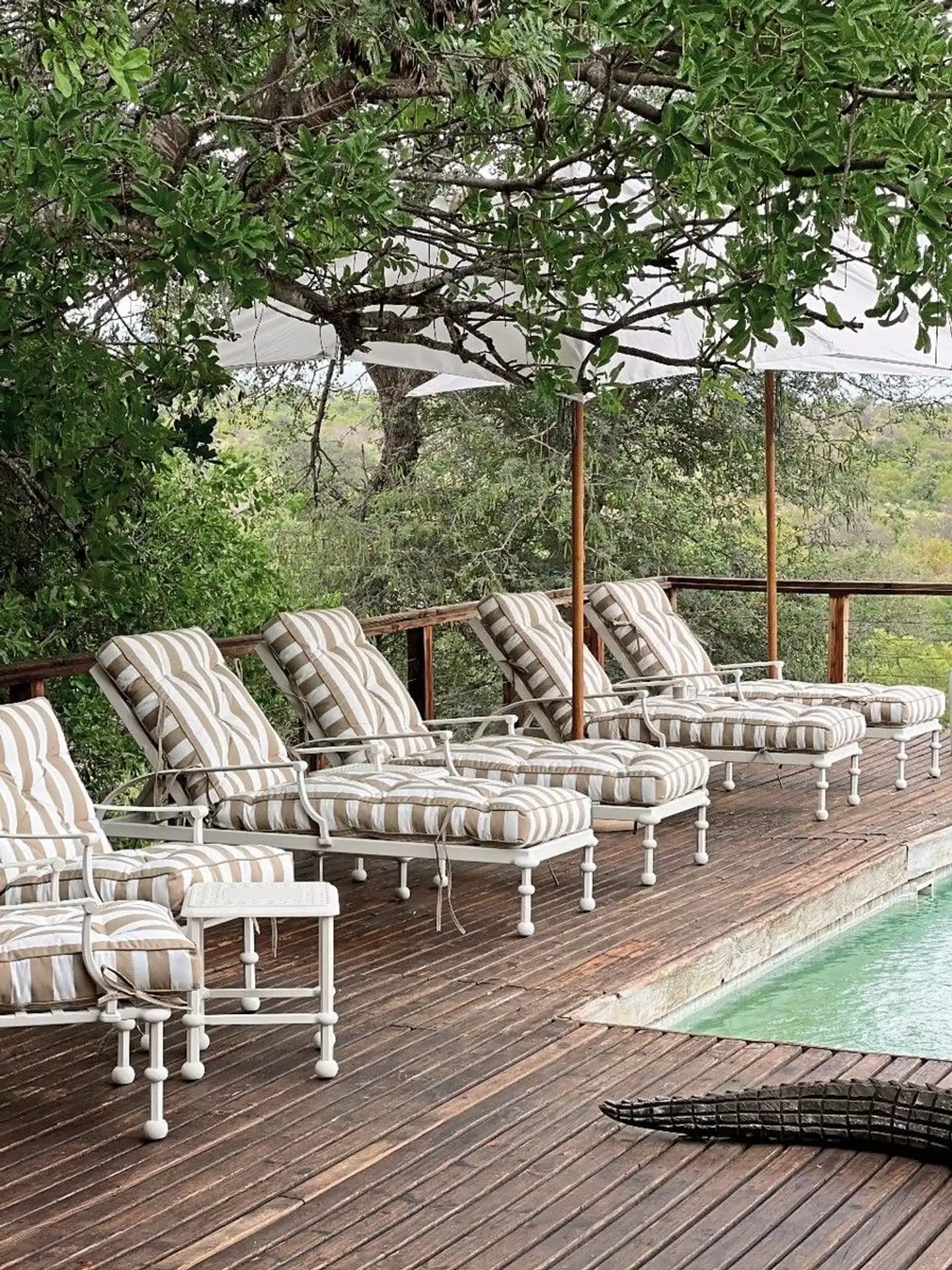 Simbavati Safari Lodges Terrasse