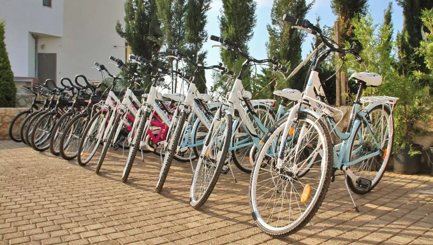 Camelot Royal Beds Sport und Entertainment